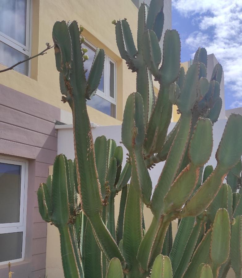 Apartament Apartamento Con Azotea Privada #Thefunnycactus Puerto del Rosario  Zewnętrze zdjęcie